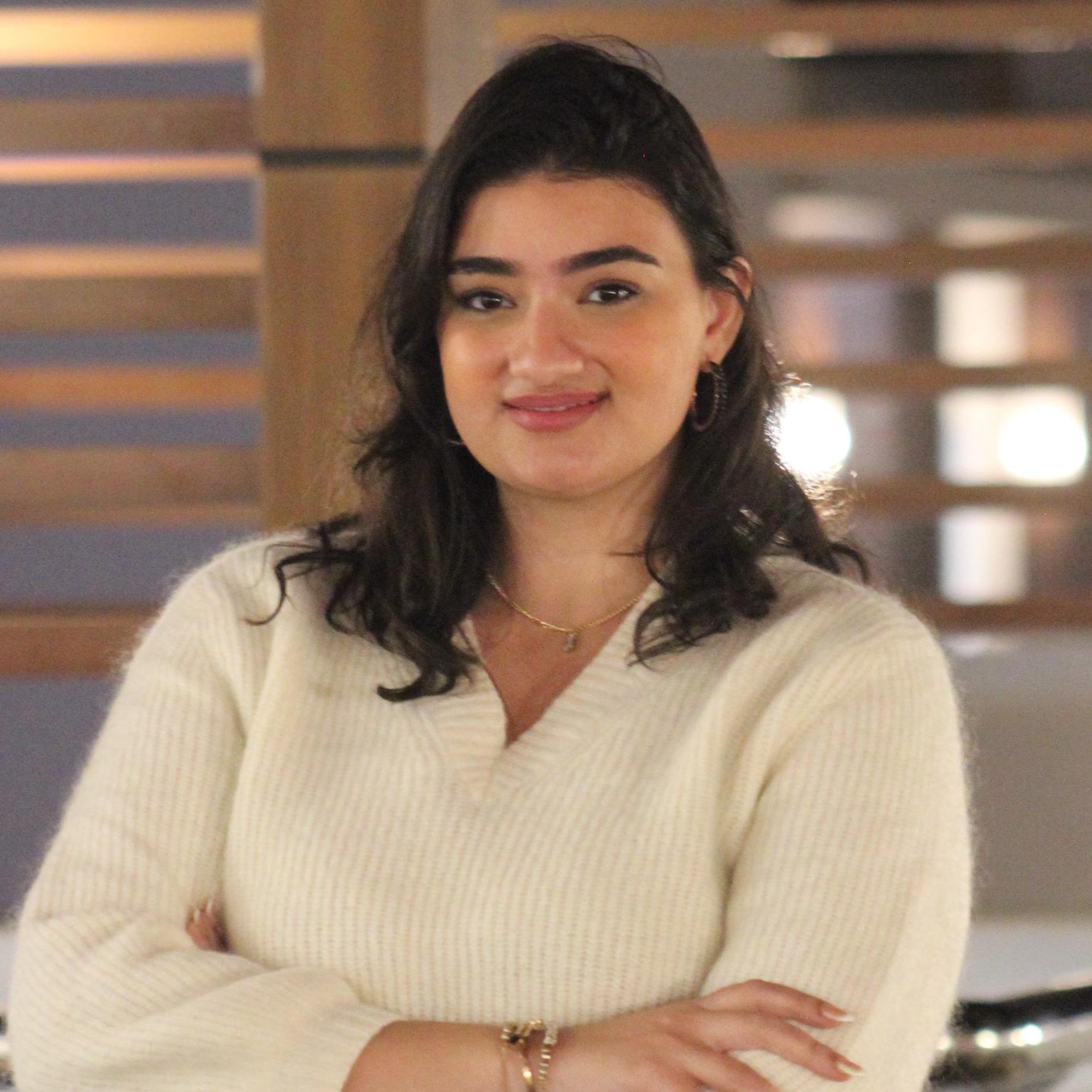 Dr Yara Mohsen